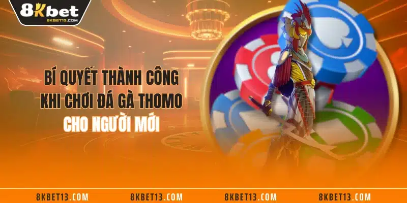 Bí quyết thành công khi chơi đá gà Thomo cho người mới