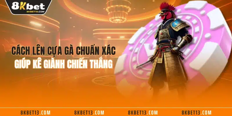 Cách lên cựa gà chuẩn xác giúp kê giành chiến thắng