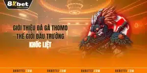 Giới Thiệu Đá Gà Thomo - Thế Giới Đấu Trường Khốc Liệt